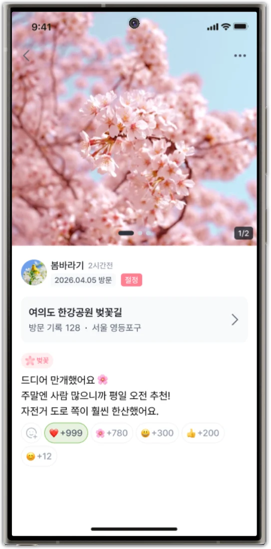 방문 기록 상세 화면 — 벚꽃길 사진과 방문자들의 이모지 반응
